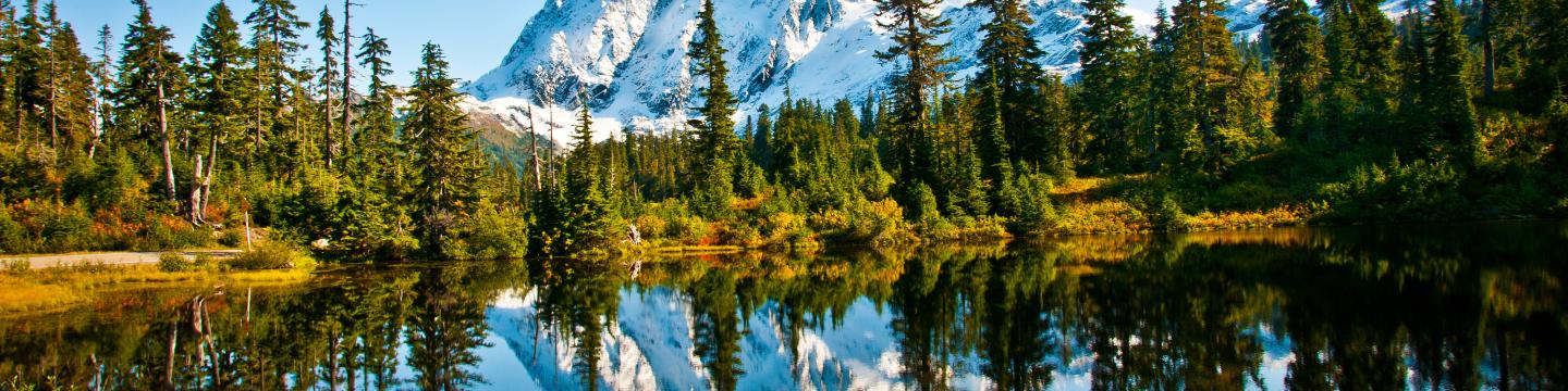 mt shuksan reflected in picture lake